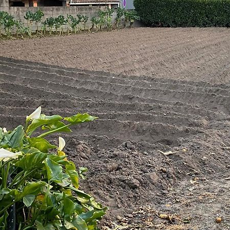 Juncal Casinha Da Avo Rosarioアパートメント エクステリア 写真