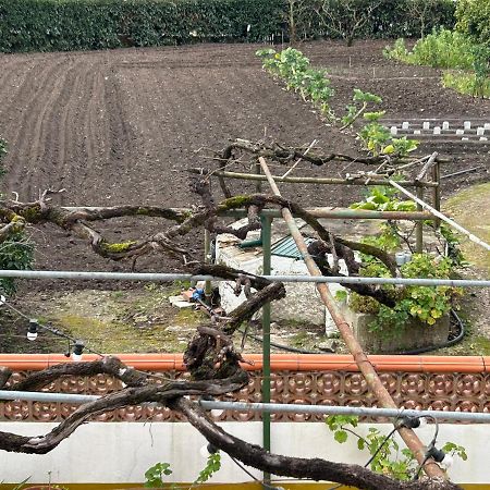 Juncal Casinha Da Avo Rosarioアパートメント エクステリア 写真