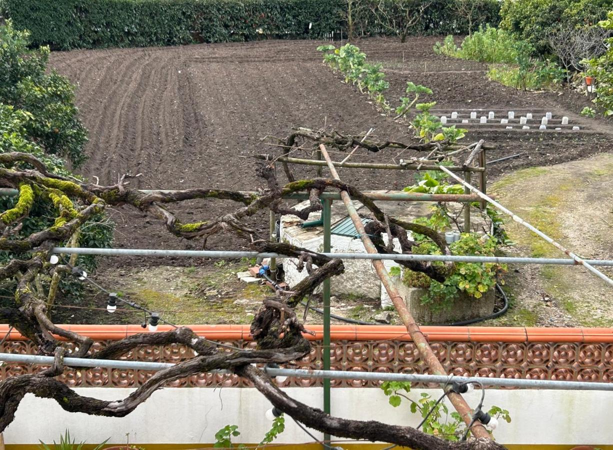 Juncal Casinha Da Avo Rosarioアパートメント エクステリア 写真